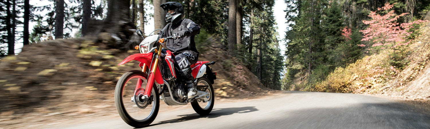 2022 Honda® for sale in Southeast Sales Powersports, Milwaukee, Wisconsin